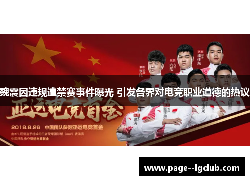 魏震因违规遭禁赛事件曝光 引发各界对电竞职业道德的热议