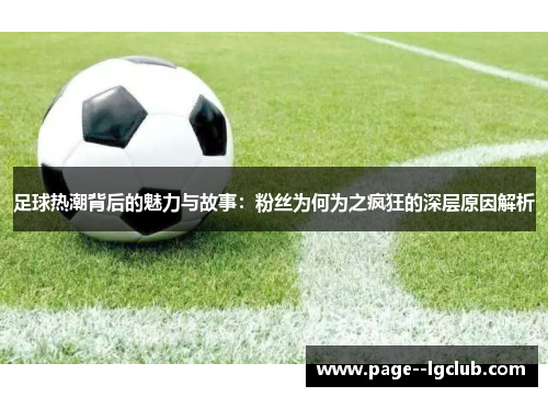 足球热潮背后的魅力与故事：粉丝为何为之疯狂的深层原因解析