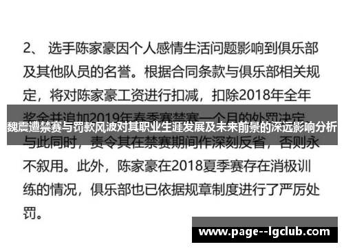 魏震遭禁赛与罚款风波对其职业生涯发展及未来前景的深远影响分析